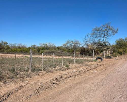 Vendo Campo en Colonia Dora 56 Has Santiago del Estero