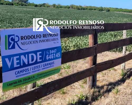 16 HA. Sobre Autovía 14 - Concepción del Uruguay (er)