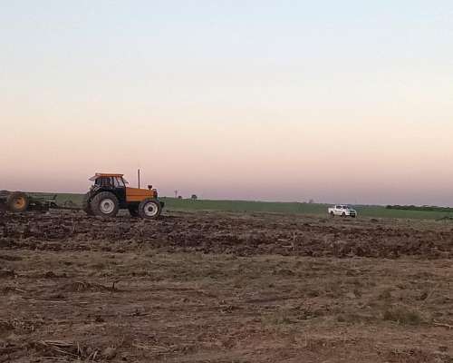 Servicio Rome Pesada Campo