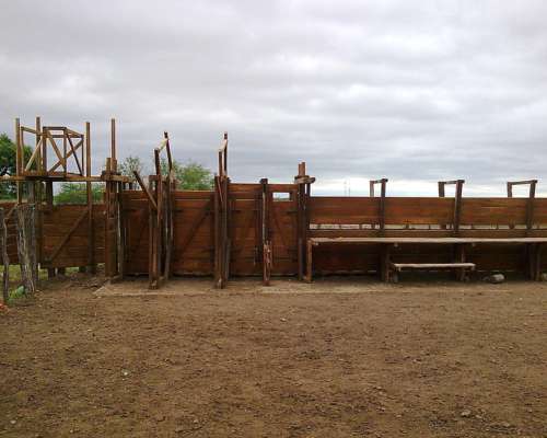 Estanislao del Campo- 527 Ha -formosa