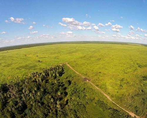 Patiño , Formosa - 7058ha