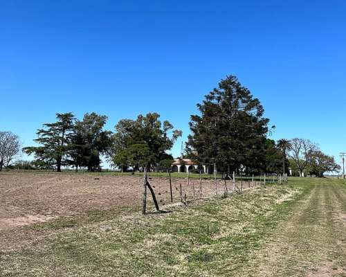 Campo Mixto en Venta