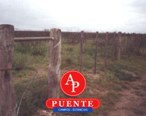 En Venta 10.000 Has Lihuel Calel la Pampa.-