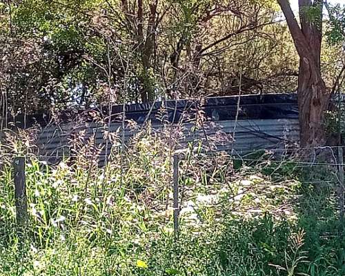 Vendo 70 Has Agrícolas Cnel Pringles