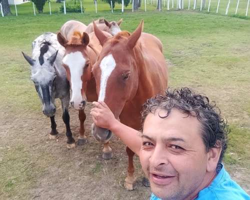 Puesteros Tractorista Casero Peón de Campo