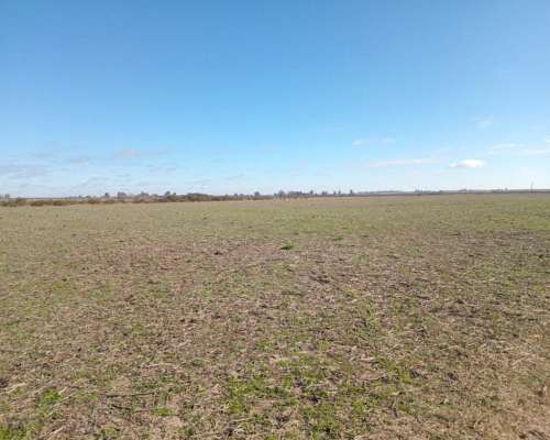 250 Ha Sobre Ruta 12. Buena Aptitud Agrícola