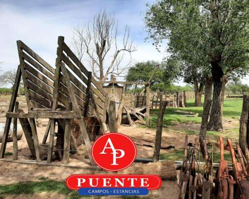En Venta 2500 HA. Carro Quemado, la Pampa