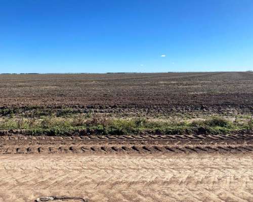 Vendo 600 Has de Campo Zona Vilelas