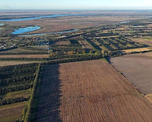 Oportunidad Campo de 31 Hectáreas Agricola