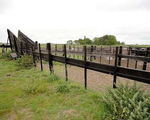Alquiler 500 Ha de Cria Sobre la Ruta 11 Castelli