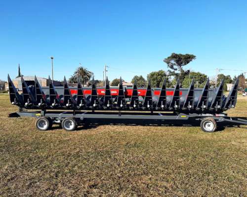 Maicero Mainero 3010 - 16 a 52 - Disponible