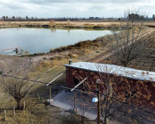 Finca de 180ha con Espalderos y Parte para Chacra