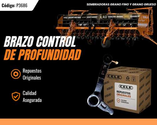 Brazo Control de Profundidad