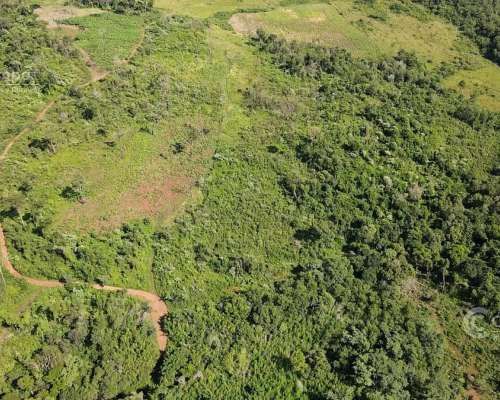 Chacra en Santo Pipo, 44 Ha Forestación, Yerba y Monte