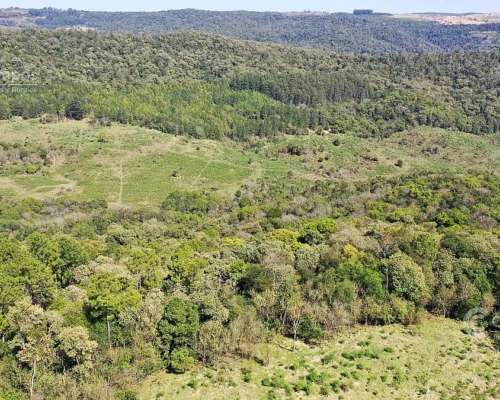 Se Vende Campo 740 Ha Ganadero-forestal en San Vicente, Misi