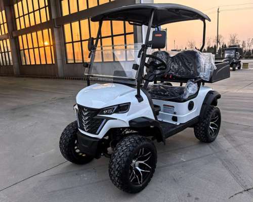 Golf Cart Electric Nexus 2/4/6 Asientos + Cajon