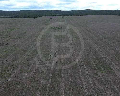 Campo Mixto en Venta- 3.068 Ha en San Pedro Norte, Córdoba