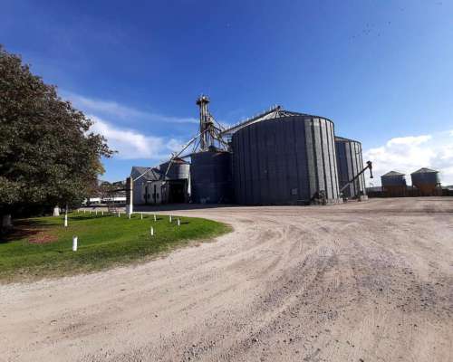 Campo C/ Planta de Silos, 5ha, MAR del Plata,costa Atlántica