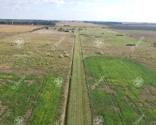 21 Has en Venta en Lobos - Ideal Urbanización Sobre Ruta
