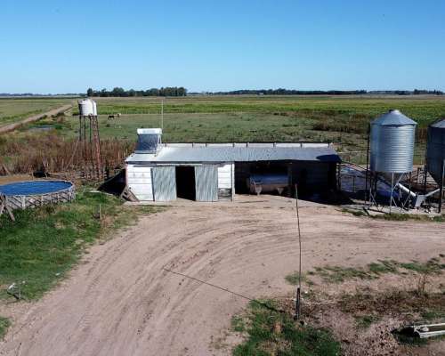 Fondo de Comercio: Tambo en Producción (monte, BS. As.)