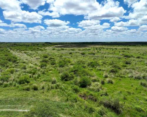 Pcia. de Corrientes - Malvinas 10808 Has