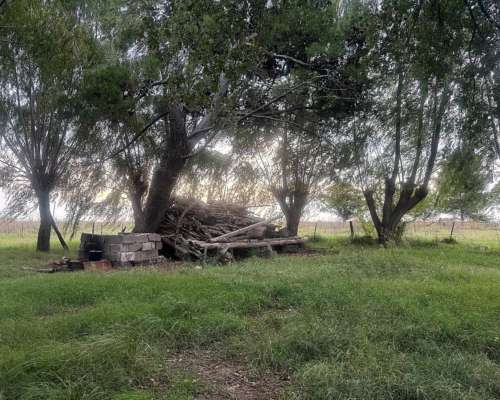 25 Hectáreas en Pedro Luro