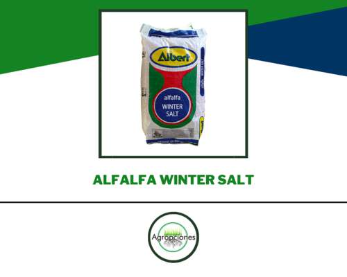 Semilla de Alfalfa Winter Salt