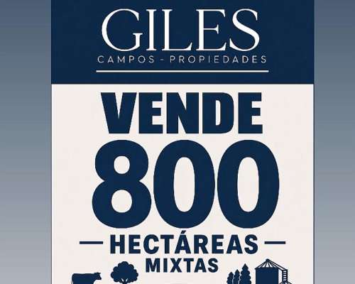 Campo 800 Hectáreas Mixtas Baradero