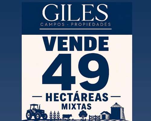 Campo Mixto 49 Hectáreas