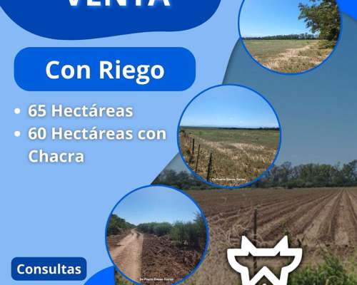 Campos Seleccionados Ganadero y Mixtos para los 3 Ciclos