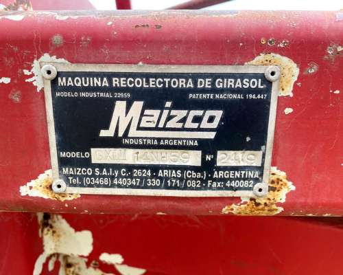 Girasolero Maizco de 19 a 52cm