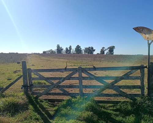 608 HA, Mixto, Azul