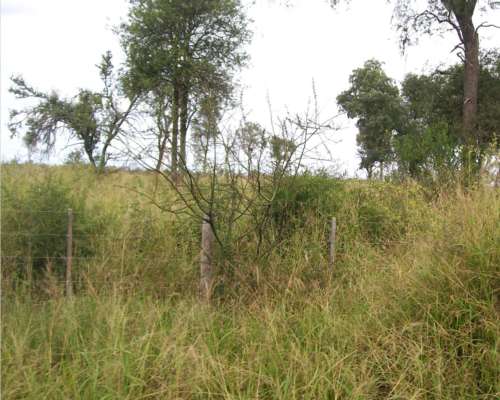 4.000 Ha Estancia en Urutau Sobre Ruta