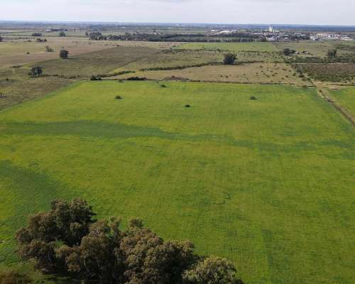 280 Hectáreas Agrícolas, Todas las Mejoras. Gualeguaychú.