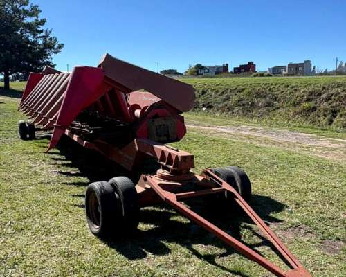 Maicero de Grande de 10 a 70 cm