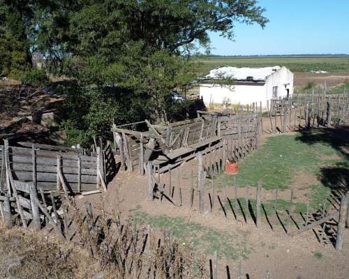 Fondo de Comercio: Tambo en Producción (monte, BS. As.)