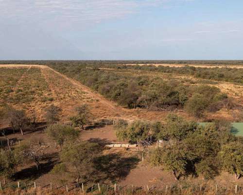 Pcia. de Salta - Apolinario Saravia 6390 Has