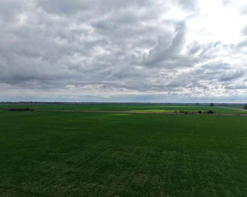 83 Has - Agricolas Sobre Asfalto en Saguier (santa FE)