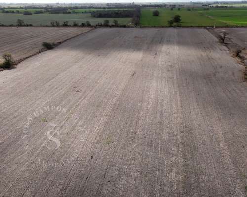Venta Campo Agrícola. 41 HA. Cululú, Santa FE.