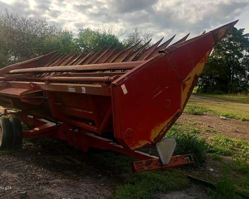 Girasolero Mainero 1040 de 10/70