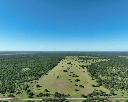 Pcia. de San Luis - Arizona 2307 Has