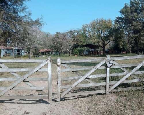 Vende Establecimiento Completo - las Palmas Chaco