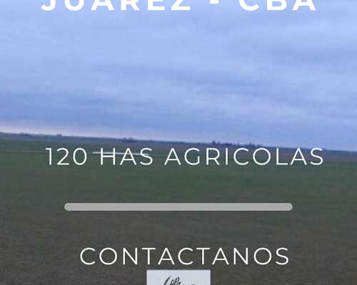 Venta- 120 Has Zona Marcos Juárez