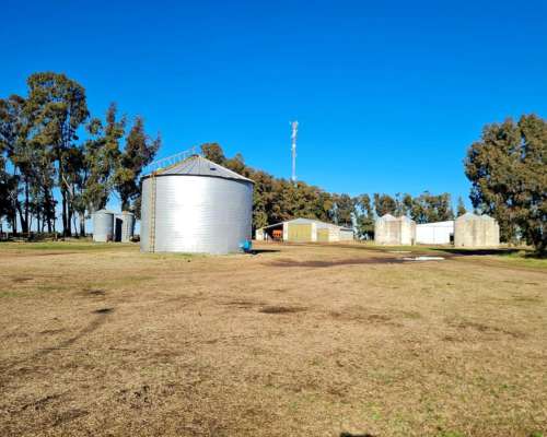 Campo a km de Bahia Blanca 100% Agricola