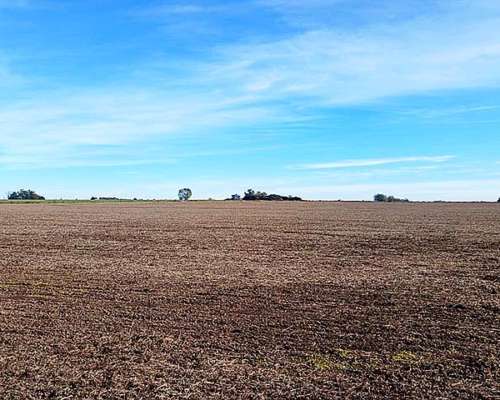 Campo Agrícola-ganadero de 25 Ha en Villa Mugueta