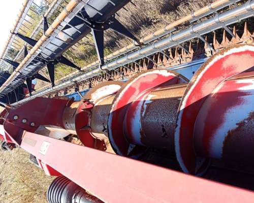 Cosechadora Case IH 7130, año 2019, Rodado Dual, 3700 Hs