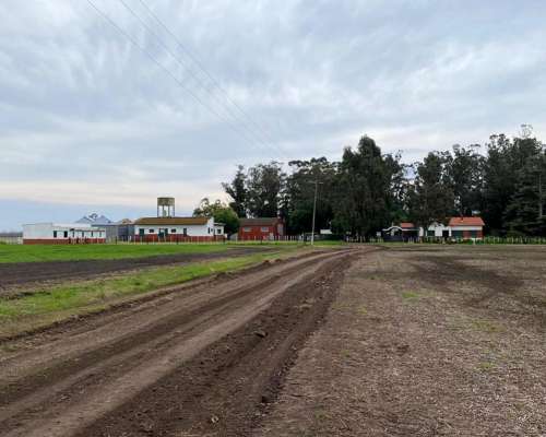 Vendo Campo Agrícola-papero 540ha Sobre Asfalto, Miramar