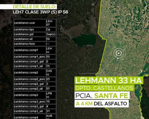 Lehmann 33 Has Agrícolas. Campo en Venta
