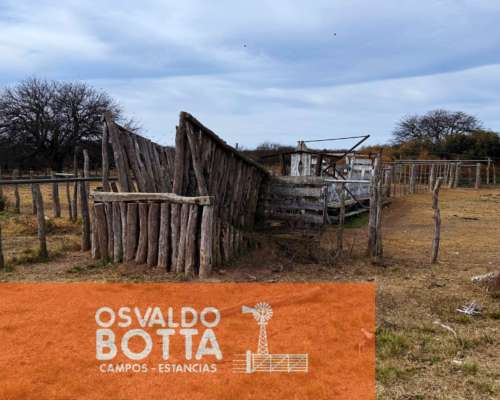 Campo Ganadero – 6.200has – Rucanelo, la Pampa