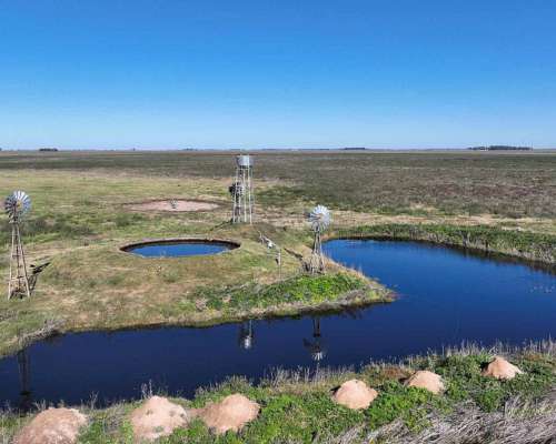 Pcia. de Santa FE - Aaron Castellanos 1125 Has